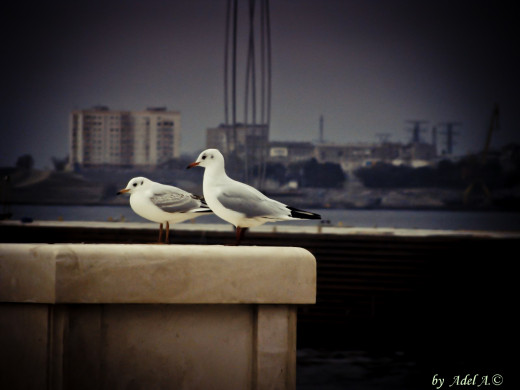 525448 (a): :1600x1200
